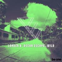 Artwork for Wild by Lander B