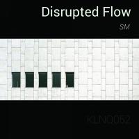 Artwork for Disrupted Flow by SM