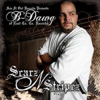 Artwork for Scarz N Stripez by Big Dawg