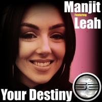 Artwork for Your Destiny by Manjit