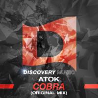 Artwork for Cobra by ATOK