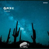 Artwork for Culture by Gayax