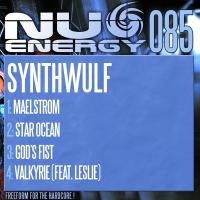 Artwork for Maelstrom / Star Ocean / God's Fist / Valkyrie by SynthWulf