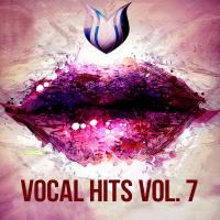 Artwork for Vocal Hits, Vol. 7 by Various Artists