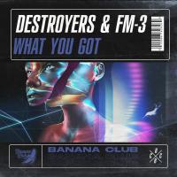 Artwork for What You Got by Destroyers