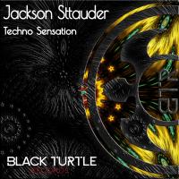 Artwork for Techno Sensation by Jackson Sttauder