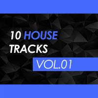 Artwork for 10 House Tracks, Vol. 01 by Various Artists