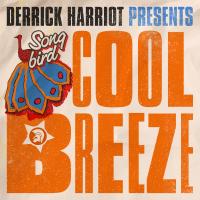 Artwork for Derrick Harriott Presents Cool Breeze by Various Artists