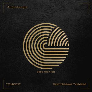 Artwork for Stabilized