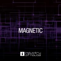 Artwork for Magnetic by Various Artists