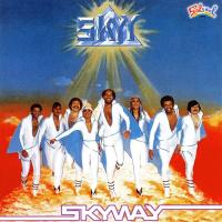 Artwork for Skyway by Skyy