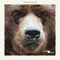 Artwork for Winter Selection by Various Artists