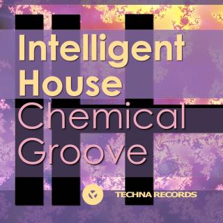 Artwork for Groove it (Intelligent House Remix)