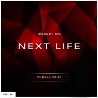 Artwork for Next Life by Robert DB