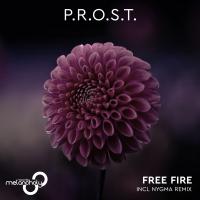 Artwork for Free Fire by P.R.O.S.T.