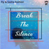 Artwork for Break the Silence by Fly