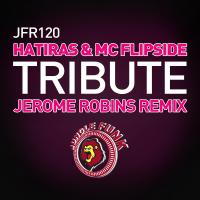 Artwork for Tribute (Jerome Robins Remix) by Hatiras