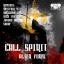 Artwork for Call Spirit (Raggapop Inc Remix)