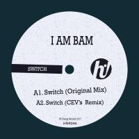 Artwork for Switch by I Am Bam