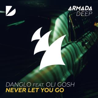 Artwork for Never Let You Go