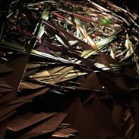 Artwork for  Dodecahedron / Icosahedron by Giles Appleton