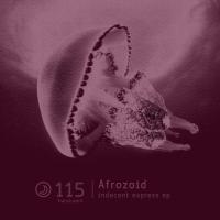 Artwork for Indecent Express Ep by Afrozoid