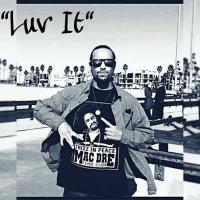 Artwork for Luv It by G-Dubious