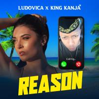 Artwork for Reason by Ludovica