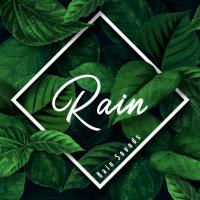Artwork for Rain by Rain Sounds