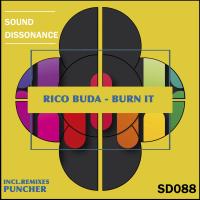 Artwork for Burn It by Rico Buda