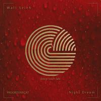 Artwork for Night Dream by Wall Seich