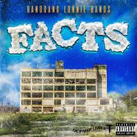 Artwork for Facts by BandGang Lonnie Bands