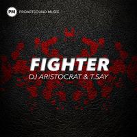 Artwork for Fighter by DJ Aristocrat