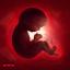 Artwork for Planned Parenthood