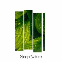 Artwork for Sleep Nature by Nature Sounds Nature Music