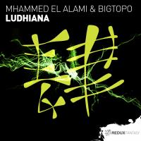 Artwork for Ludhiana by Mhammed El Alami