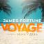 Artwork for Voyage