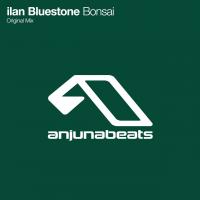 Artwork for Bonsai by Ilan Bluestone