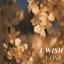 Artwork for I WISH