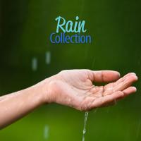 Artwork for Rain Collection by Rain Sounds Nature Collection