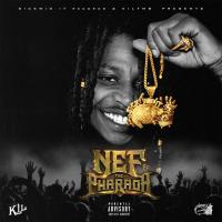 Artwork for Nef The Pharaoh by Nef The Pharaoh