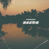 Artwork for Seeds by Dj Hindi Bacha