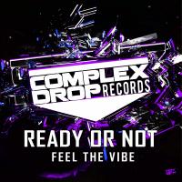 Artwork for Feel The Vibe by Ready or Not