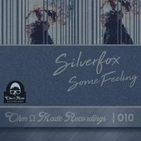 Artwork for Some Feeling by Silverfox