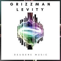 Artwork for Levity by Grizzman