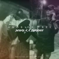 Artwork for Amor de tres by Sebas R