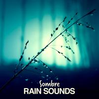 Artwork for Sombre Rain Sounds by Rain Sounds