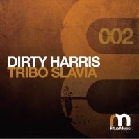 Artwork for Tribo Slavia by Dirty Harris