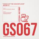 Artwork for Voice Of The Dancefloor (Craig Brogan Remix)