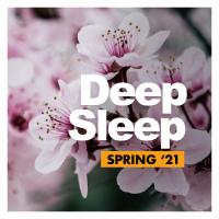 Artwork for Deep Sleep by Deep Sleep